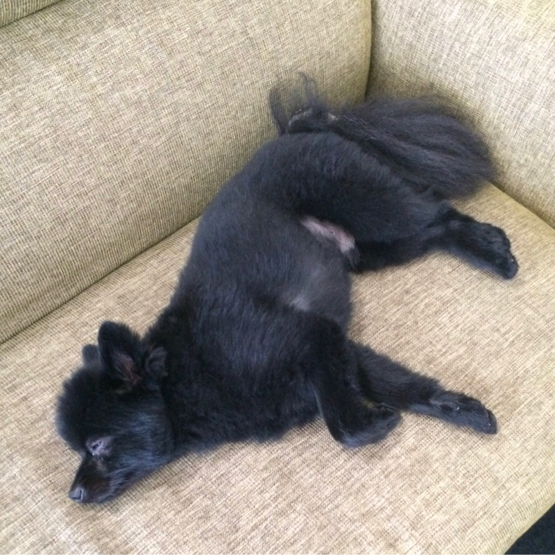 努力には個人差があります。#005