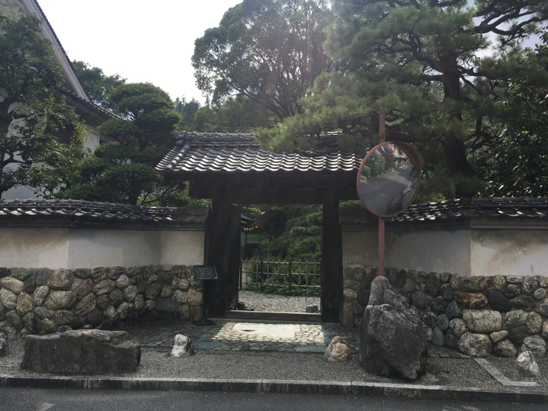 #1医者は賢くない？