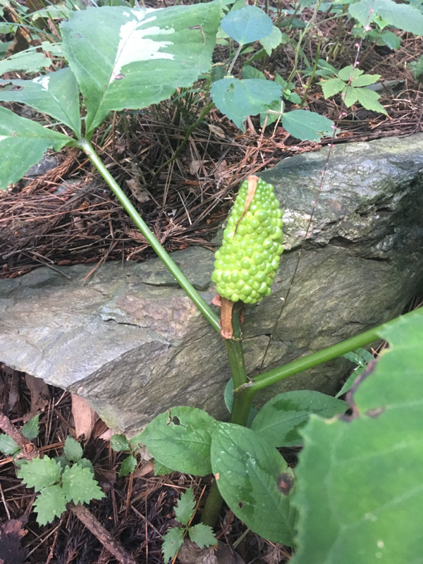 #6素直な人が最強だから