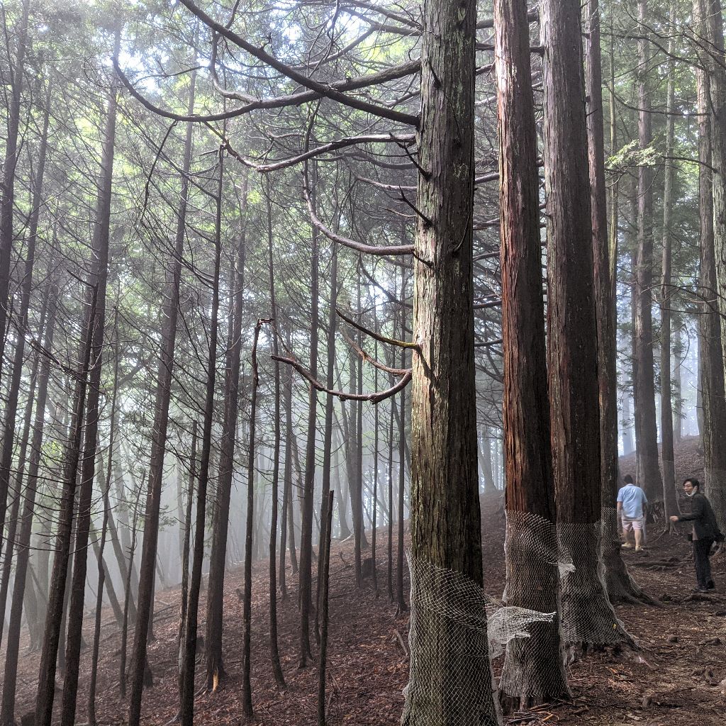 【メモ】秩父三峯神社、奥の宮へ山道を歩く from Radiotalk episode artwork