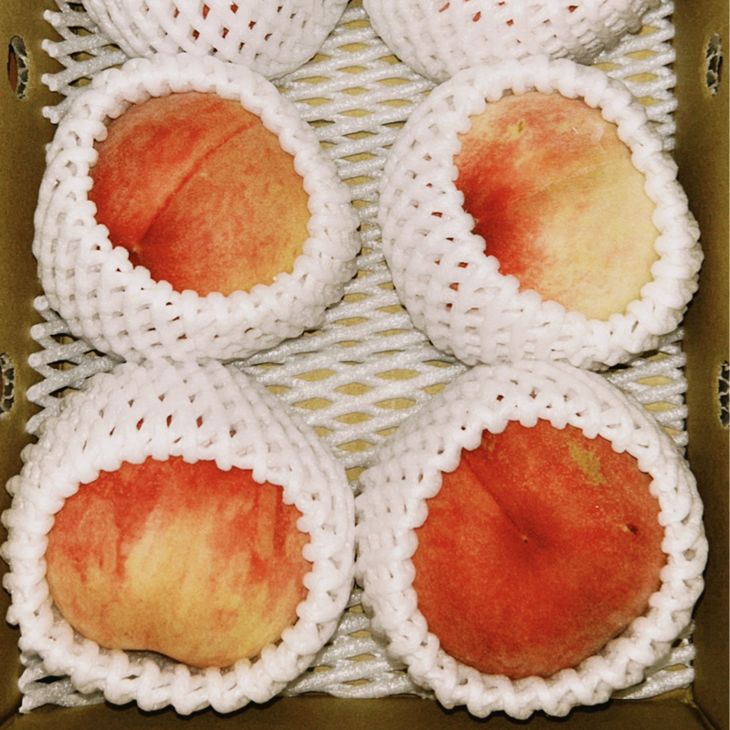 サトル、シャベル。 vol.21