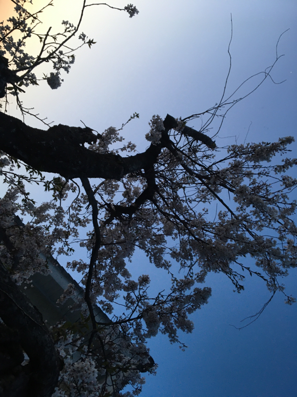 色々なことを思い出せない女