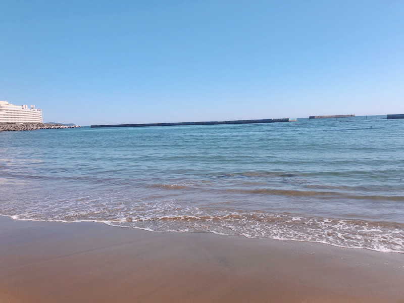 またドクストのはなし