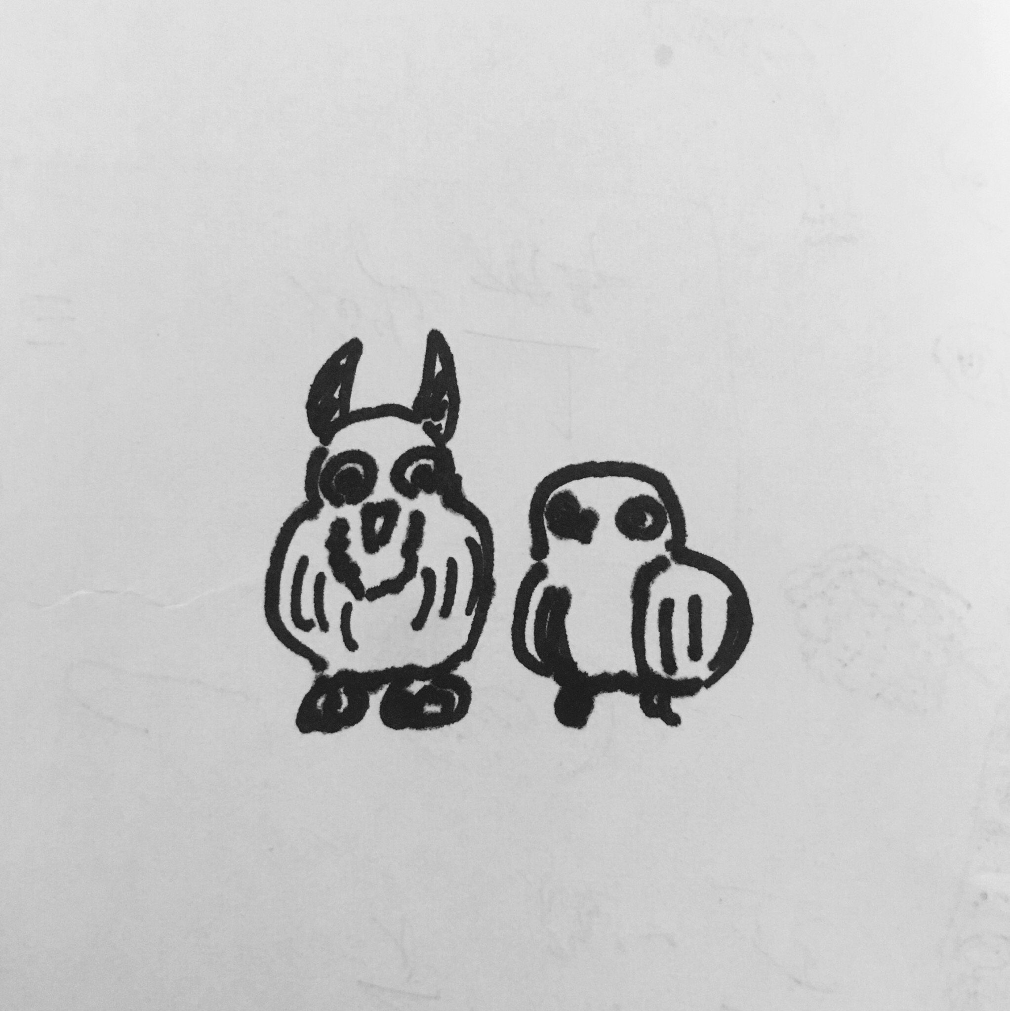 第二回 とりと目があう話