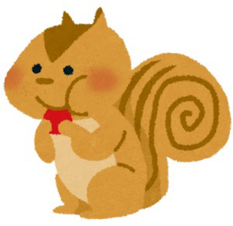 第1004回『リス🐿️』