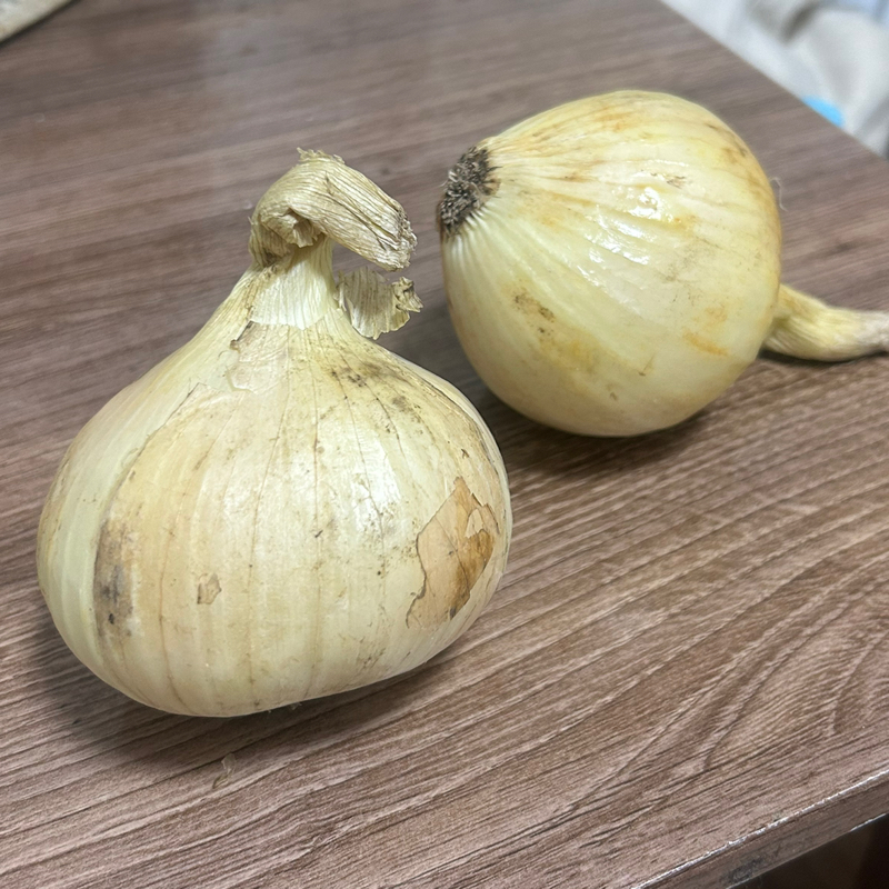 第1087回『淡路島』