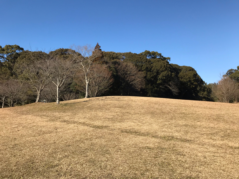 あらためまして。そらいろ舎です。