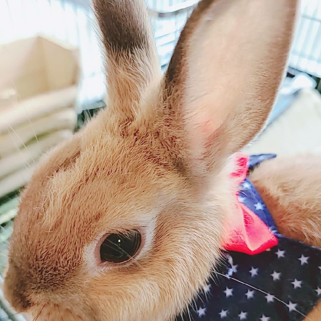 みかん🍊