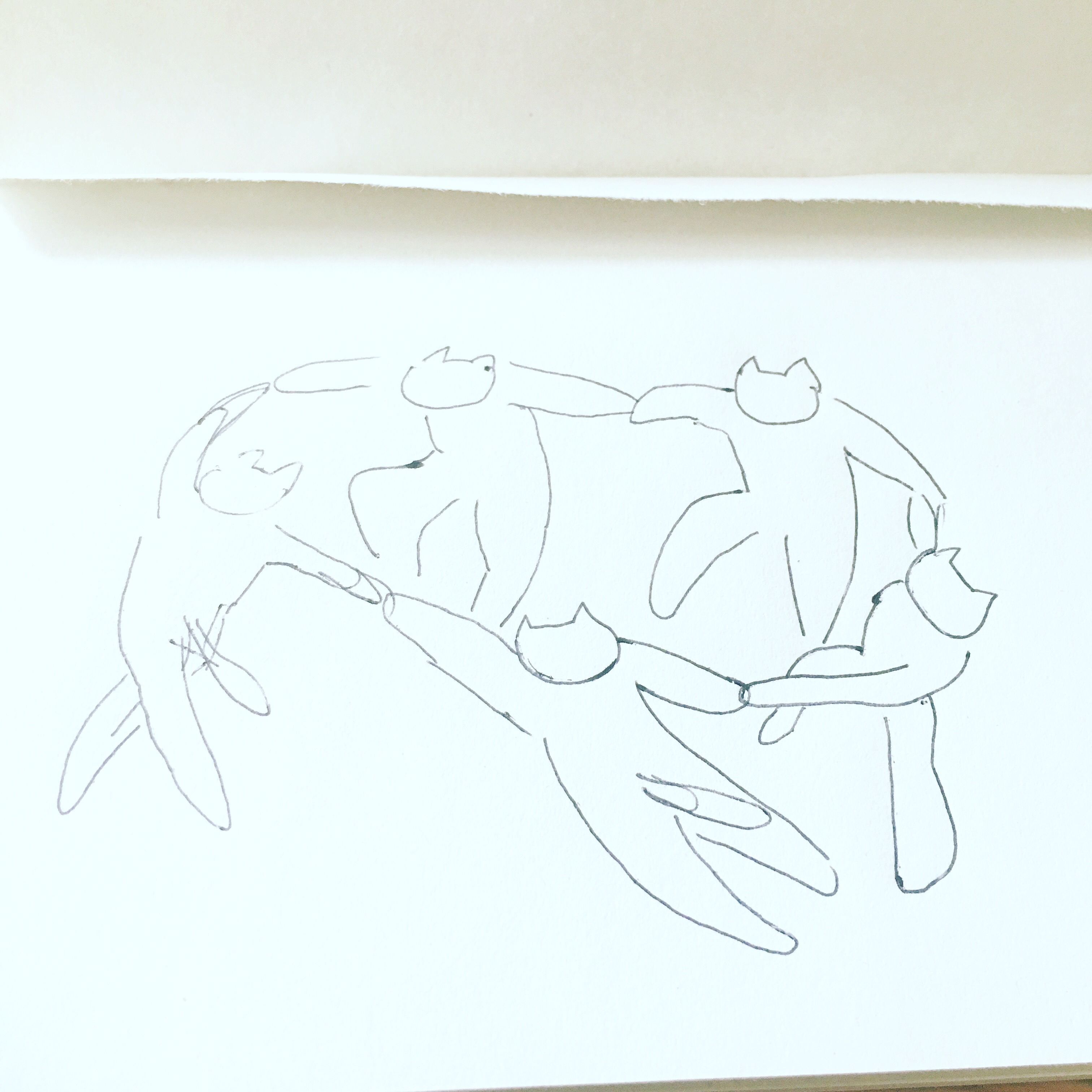 ぶぶねこ耳かきラジオ