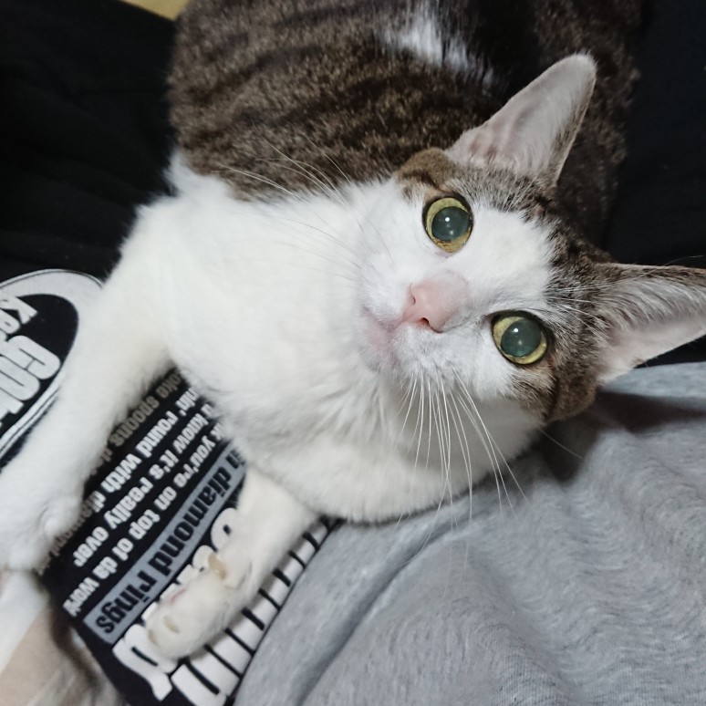 吉見拓哉日記 2020/04/27