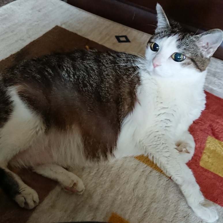 吉見拓哉日記 2020/04/28