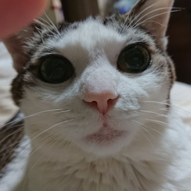 吉見拓哉日記 2020/05/02