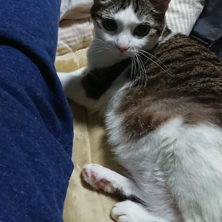 吉見拓哉日記 2020/05/03