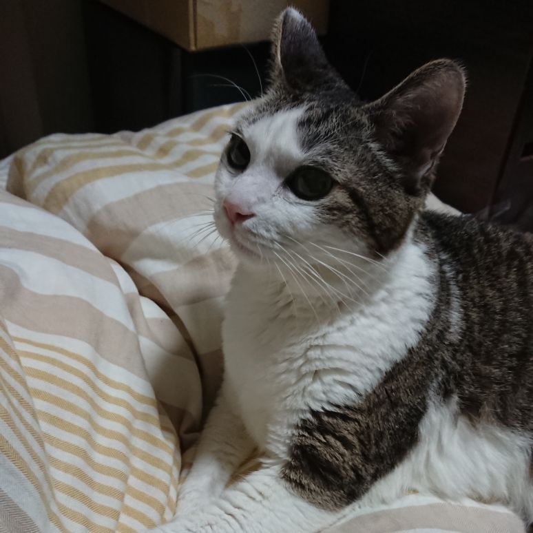 吉見拓哉日記 2020/05/05