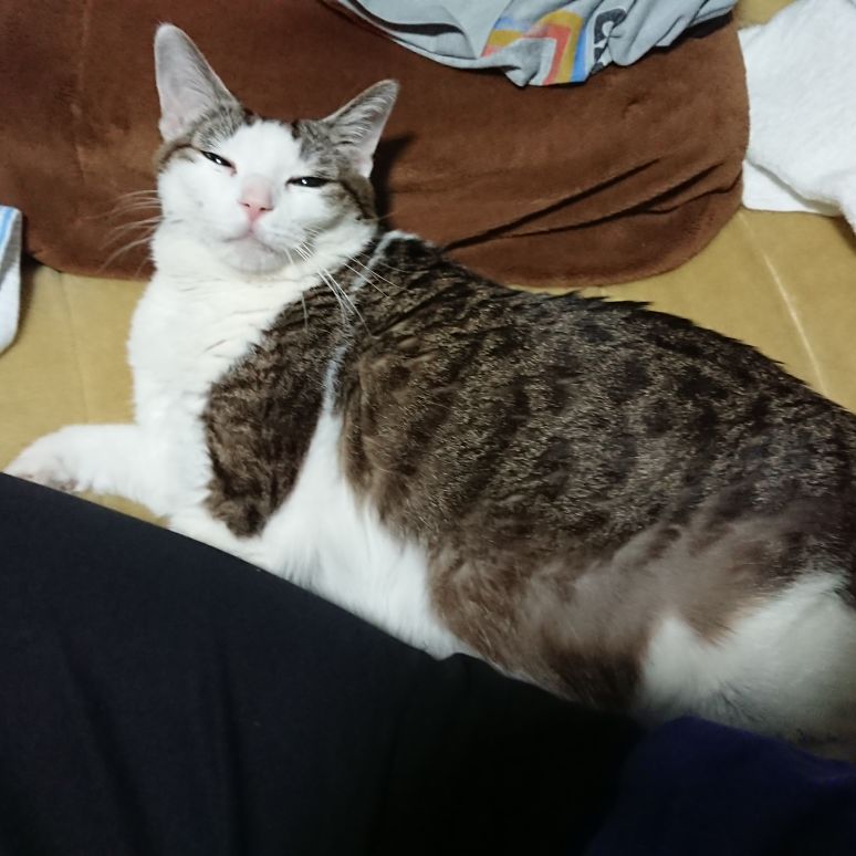 吉見拓哉日記 2020/05/08