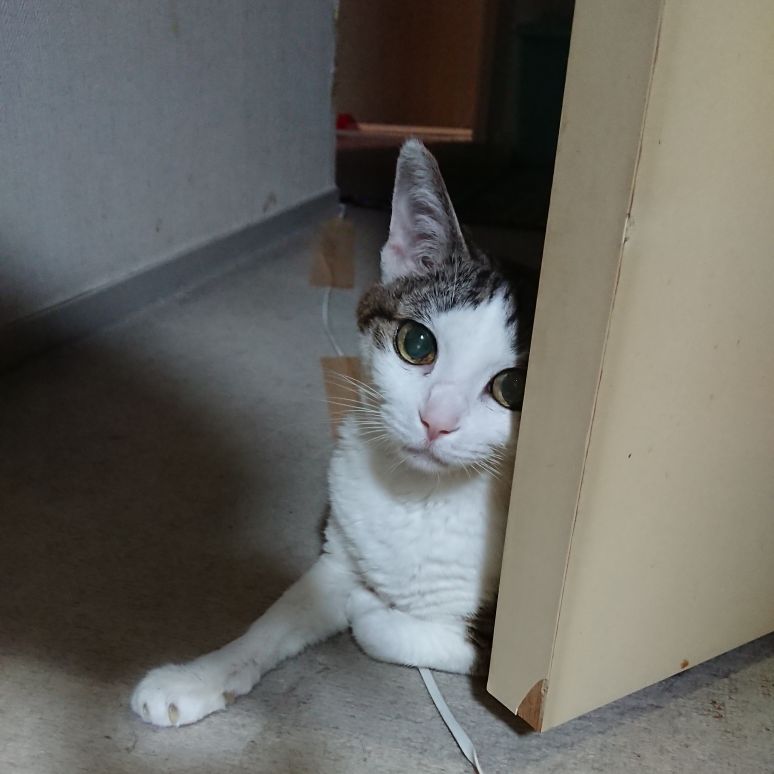 吉見拓哉日記 2020/05/12