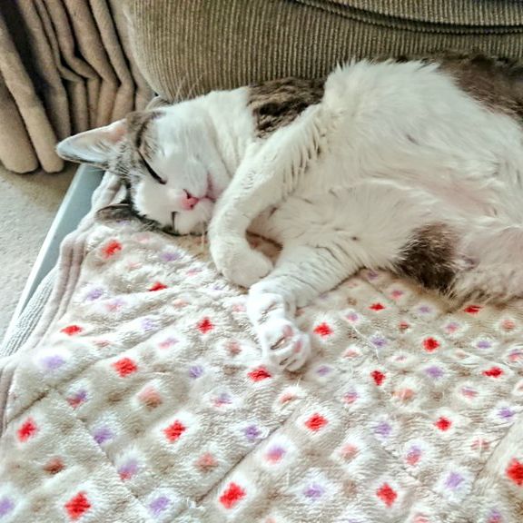 吉見拓哉日記 2020/05/26