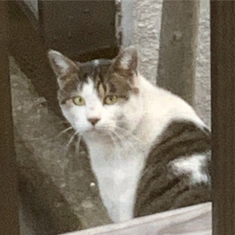 物語を音で聴きたい人へ