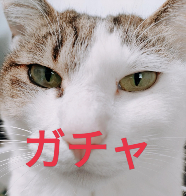 1人お題ガチャ。食についての出題…！ from Radiotalk episode artwork