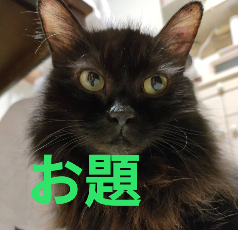 成人の日トーク！プラス受験話 from Radiotalk episode artwork