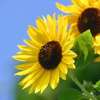 雑談にも程がある。