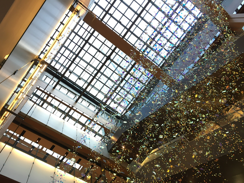 #67 夏の思い出を眺めつつ