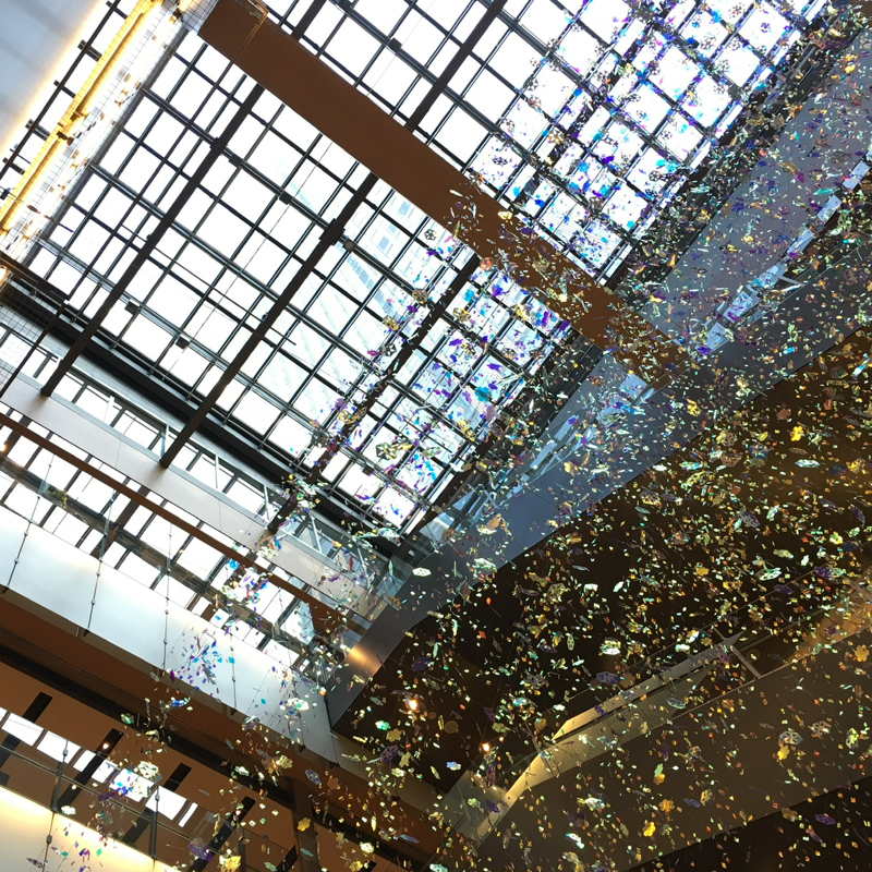 #70 新芽とともに再び