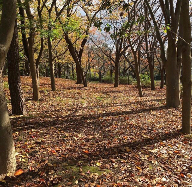 #16 池袋本町の話