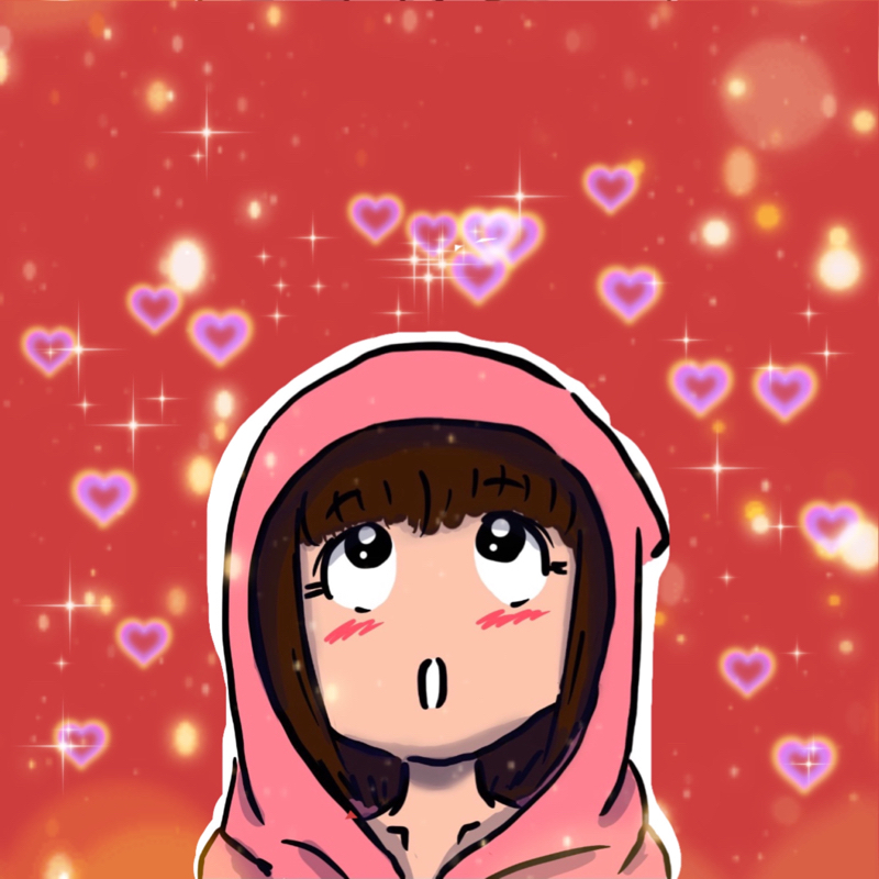 11月12月挑戦、本心、ﾌｫﾛﾜｰ数、来年へ