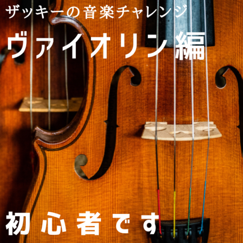 #2728 【ザッキーの音楽チャレンジ】ヴァイオリン編(4)　弦を張り直して移弦の基礎練習開始🎻♩