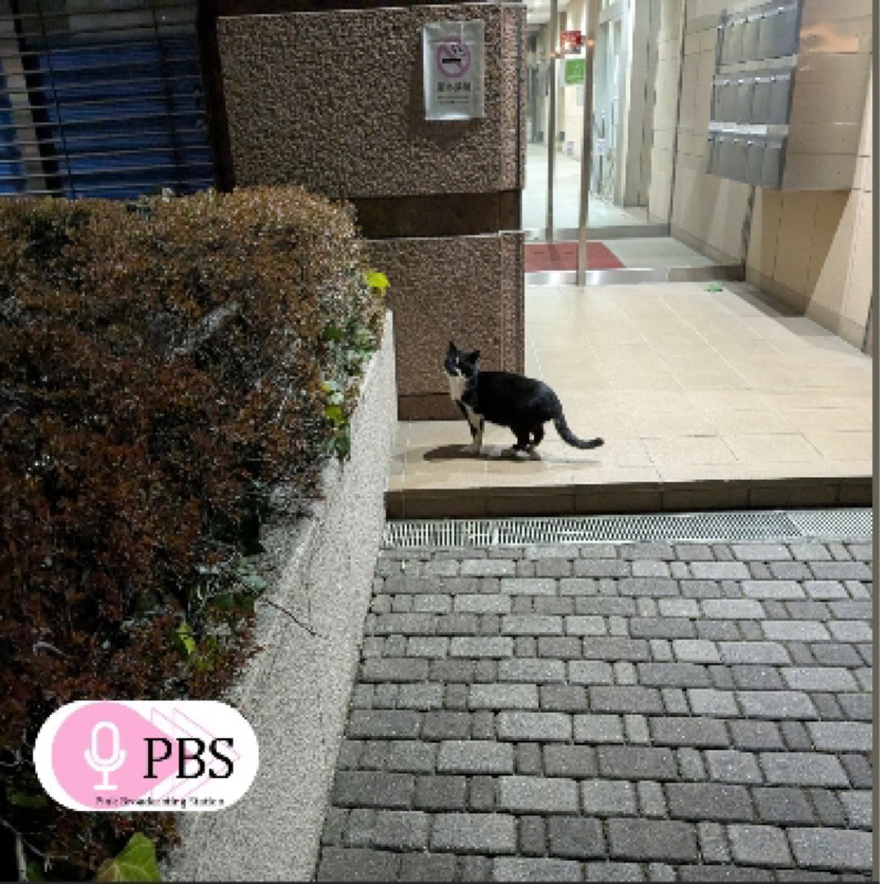 #まーこの写真でヒトコト ❷　公認されまスイカ〜🍉