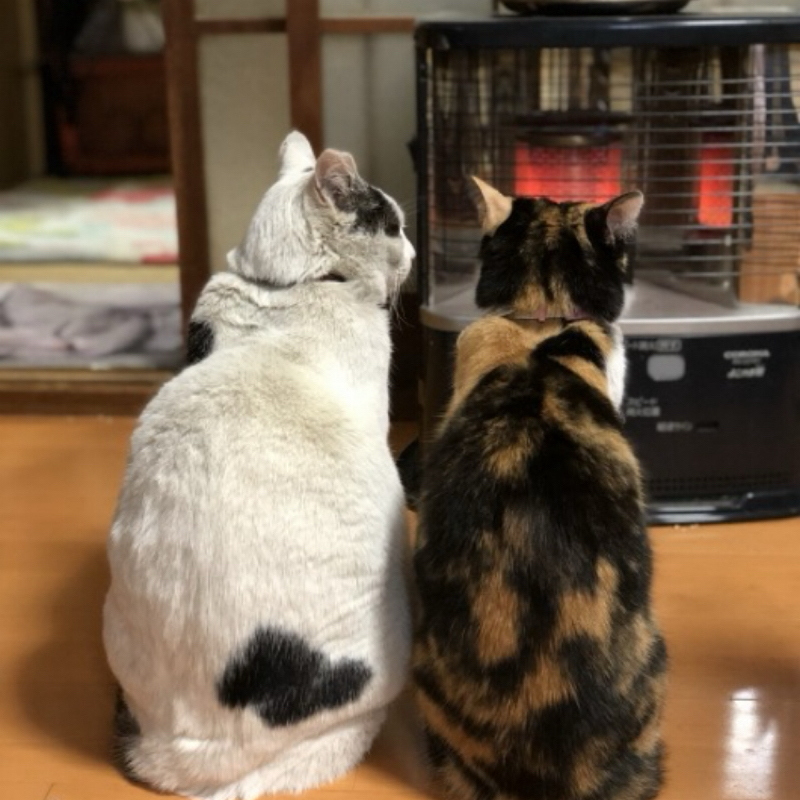 【Mr.ザッキーのノスラジ】　#27 暖房（ストーブ🔥）