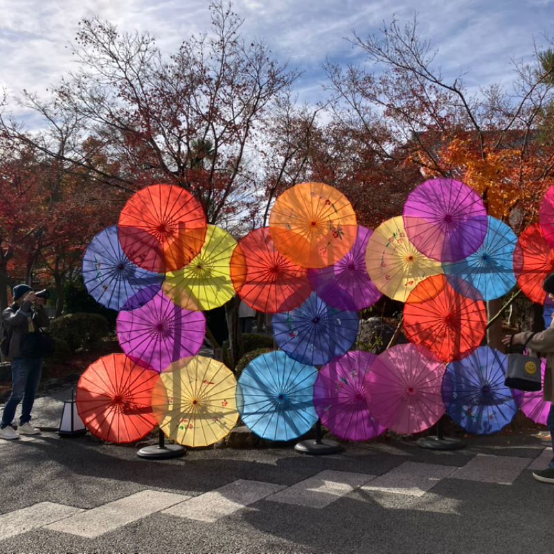 【いい日おやすみ】実は大チョンボしてしまったザッキーベルマッチョ！