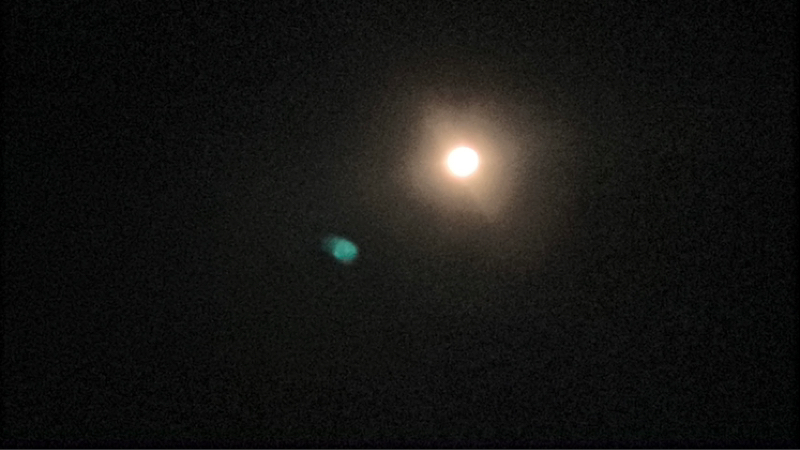 【いい日おやすみ】あっという間のイチニチでした