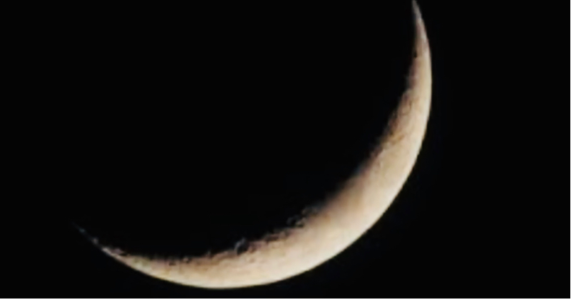 プロ占い師が令和の彼女たちに物申す2