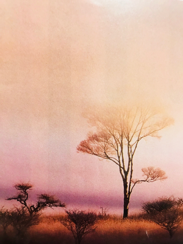 第43回詩 「雨少女物語」九神未来作