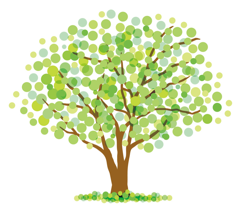 朗読　去年の木　🌳