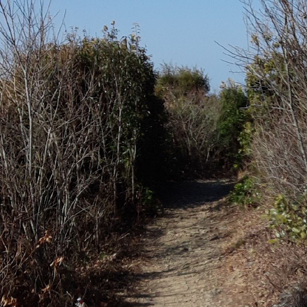 No.218　引っ越しドキュメンタリー　心の引っ越し作業