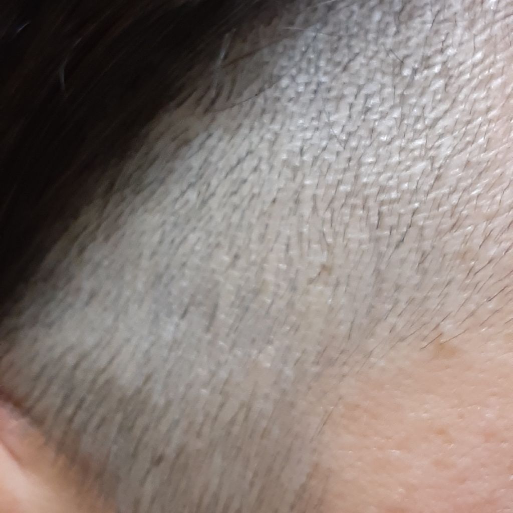 No.294　私の意思は私の脳に負けるけども