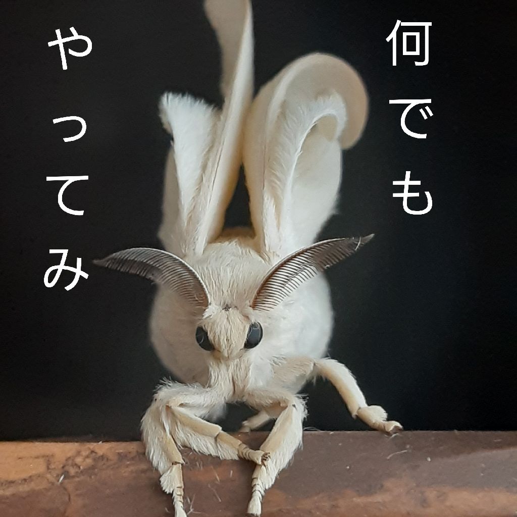 No.355　ちょっと嬉しかったこと / やってみることは大切 from Radiotalk episode artwork