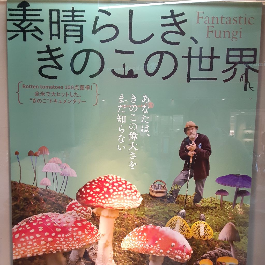 No.449　映画「素晴らしき、きのこの世界」を観てきたよ from Radiotalk episode artwork