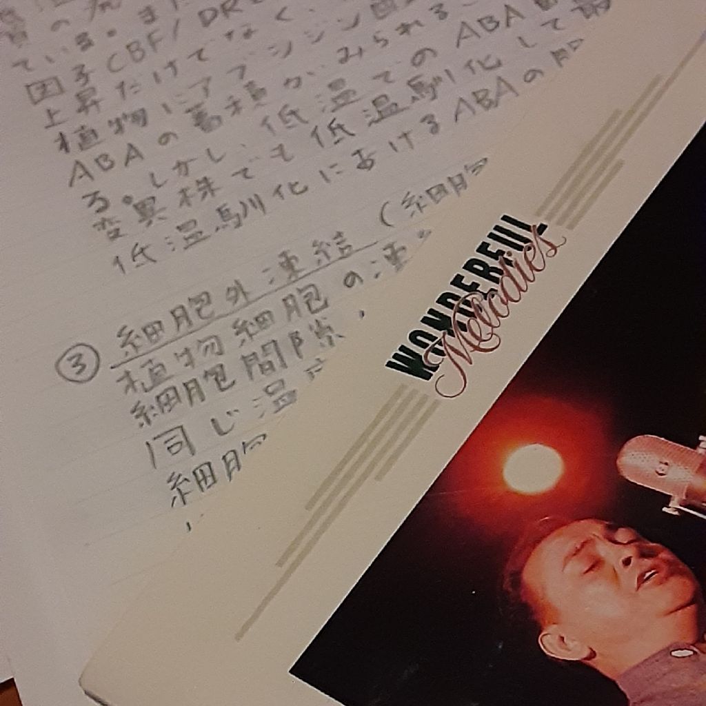 No.517　こうそうパパさんからのお便り from Radiotalk episode artwork