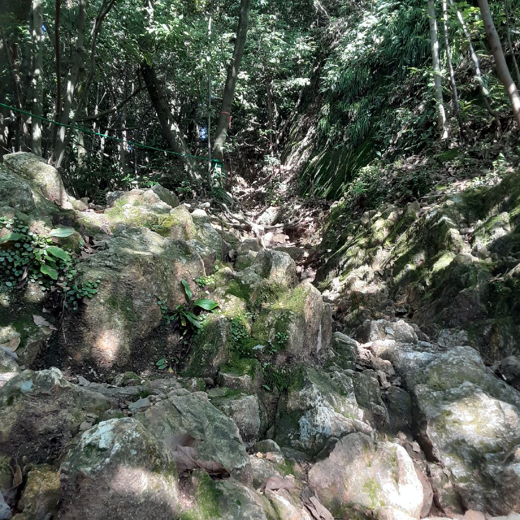 No.672　山の日　山歩きの音風景 from Radiotalk episode artwork