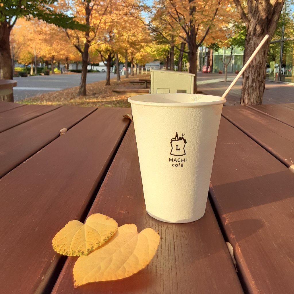 No.729　カツラ並木にてカツラのお話🍂