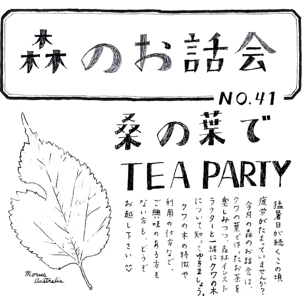 No.1257 森のお話会No.41 ~桑の葉っぱでTea party~