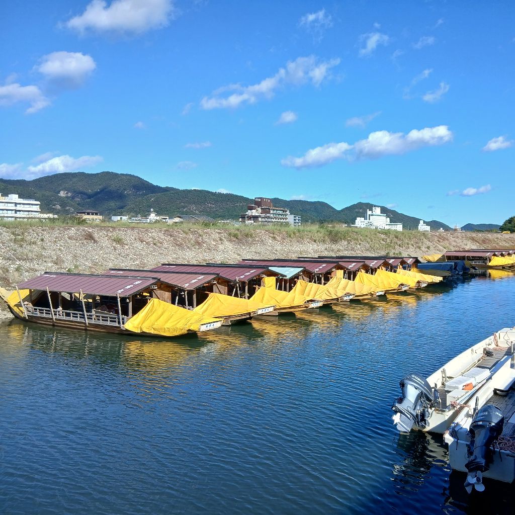 No.1270　2年目船頭のつぶやき🛶　11/6