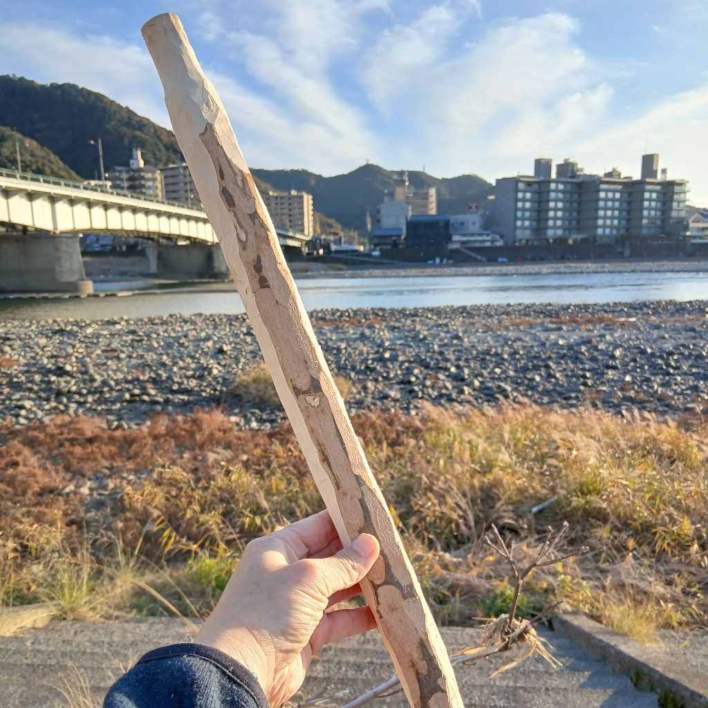 No.1272　2年目船頭のつぶやき　12/10