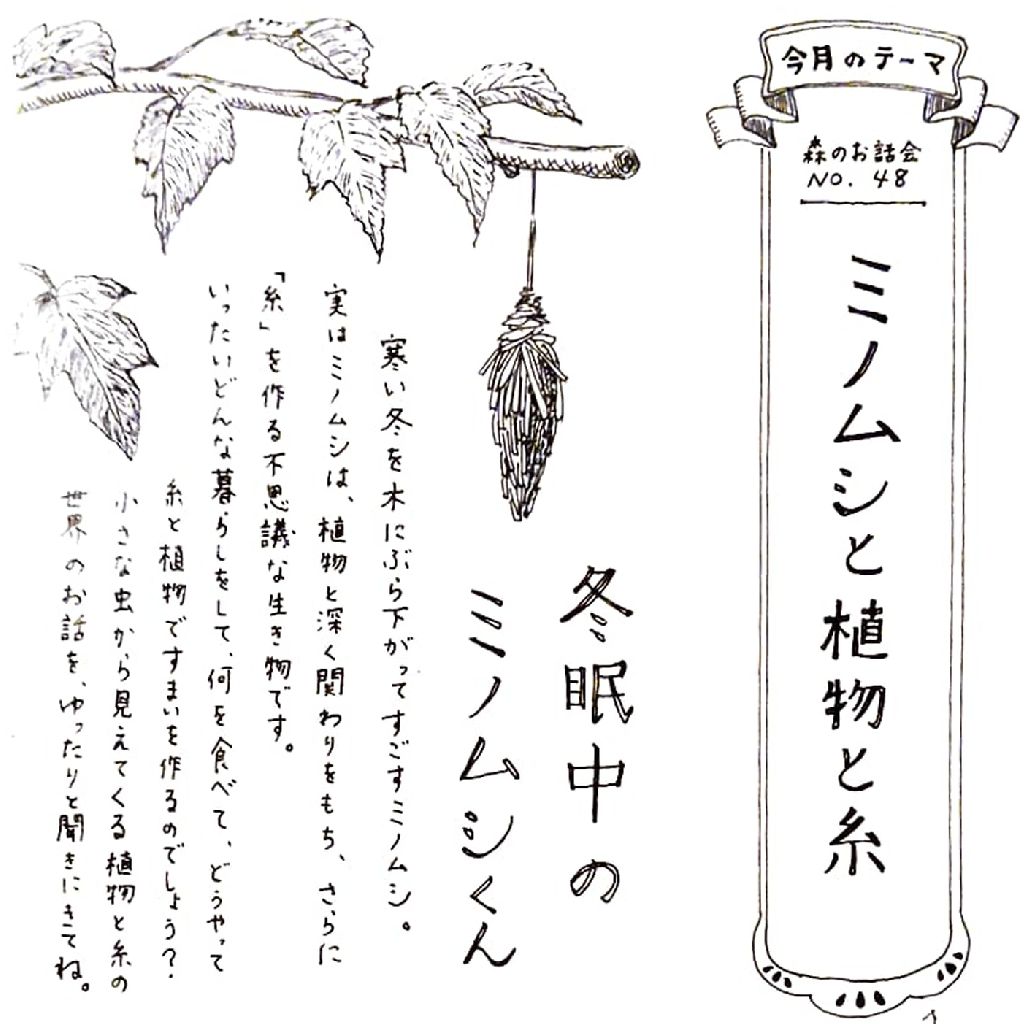 No.1281　森のお話会No.48を開催したよ🐛