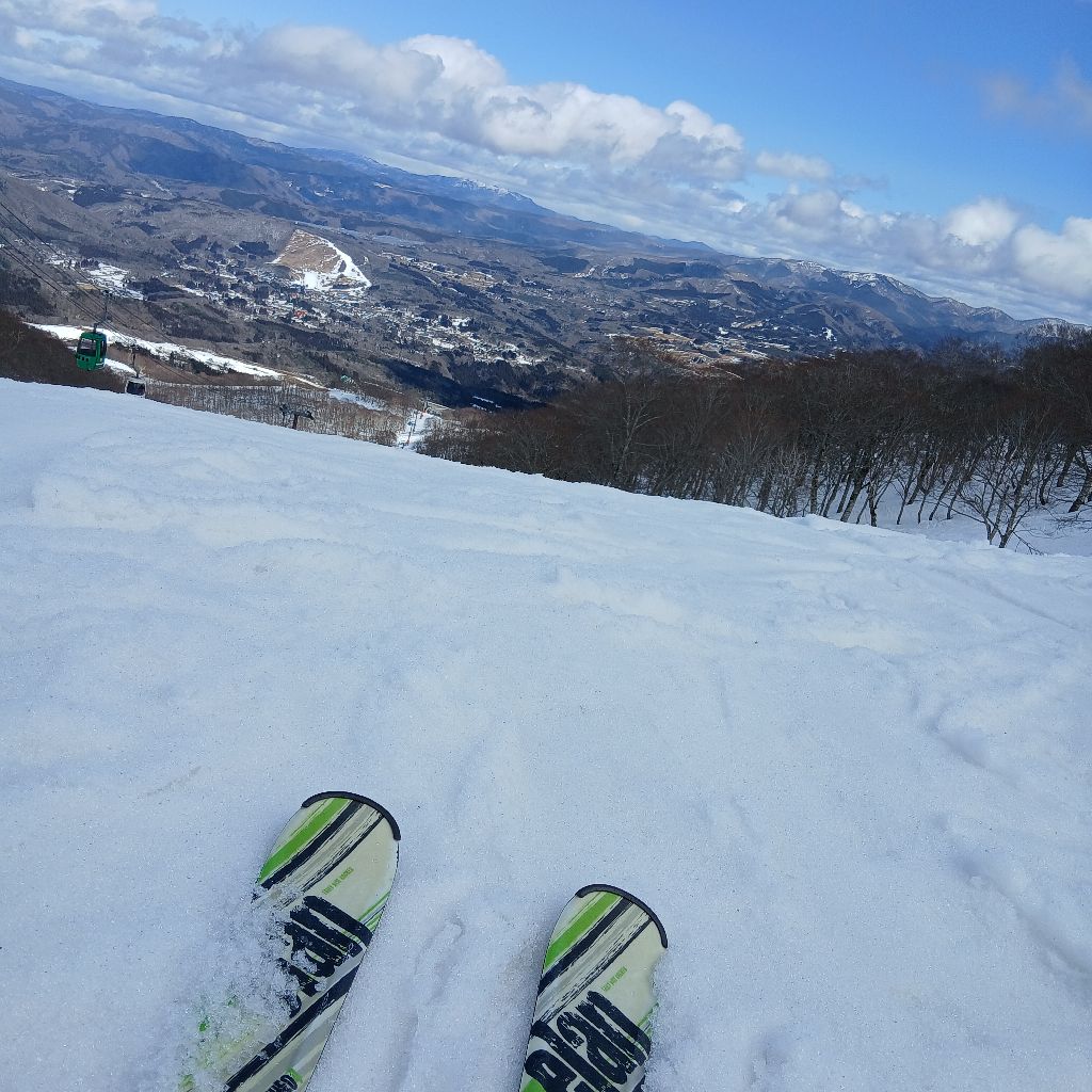 No.1282　30年ぶりのスキー⛷️❄