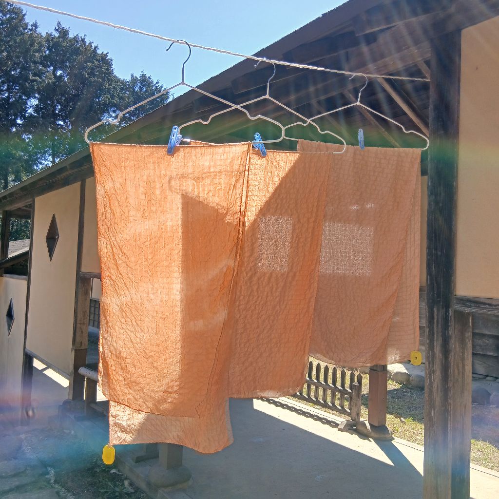 No.1285　興味がわいてきたこと②～草木染め編～